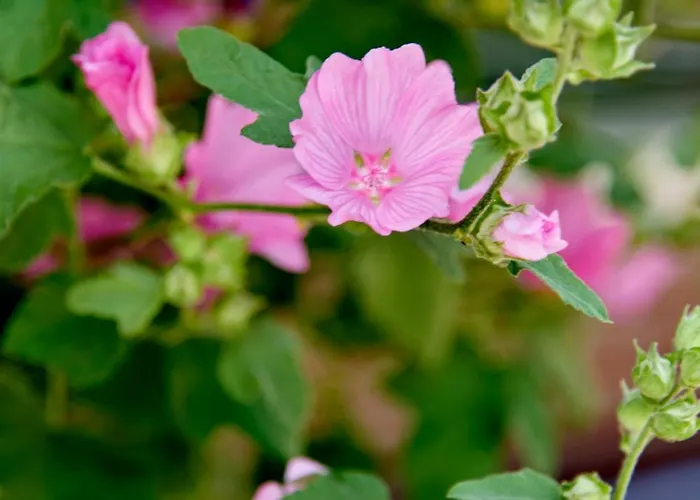 Station 4* Amstelveen